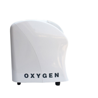 3L verde-oliva dirigem o concentrador do oxigênio do carro 300 da baixa potência watts de peso leve do consumo